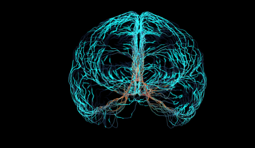 EEG Seizure Detection